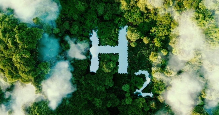 Ilustração de H2 no meio de uma floresta